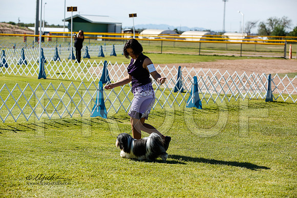 _JN_0529-AlamogordoOct2014-HR3