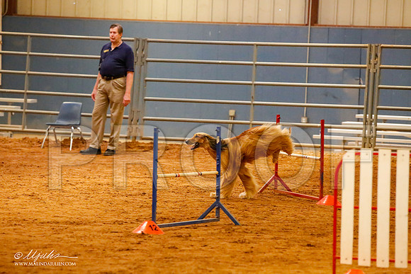 _MJ_2306-AfgBeltonOct2014-HR3