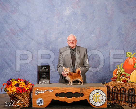_CL_4478-2-SanAngelo2014-HR3