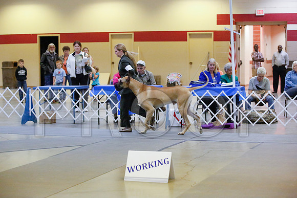 _JN_8458-AmarilloSept2014-HR3