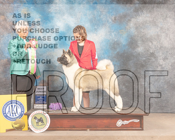 Akita #J7 Fri BJr Judge Gloria Kerr-MMJ_7340-FW2022-HR3