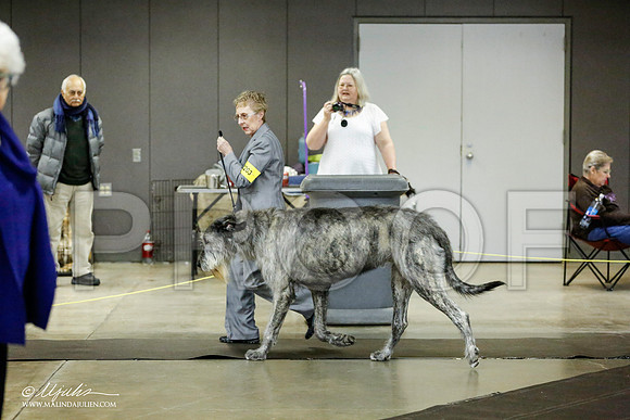 _RH_1444-BeltonJan2015IABCA-HR3