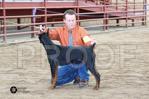 MJ2_1212-WacoFeb14-HR