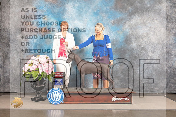 Xoloitzcuintli #9 SAT G2 Judge Linda Hurlebaus_MJ_7400_Houston_2022_HR3