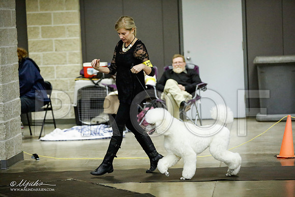 _JJ_5882-BeltonJan2015IABCA-HR3