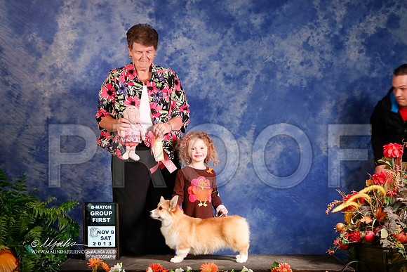 CorgPW-4983-HstnNov13-HR