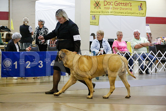 _JJ_9809-AmarilloSept2014-HR3