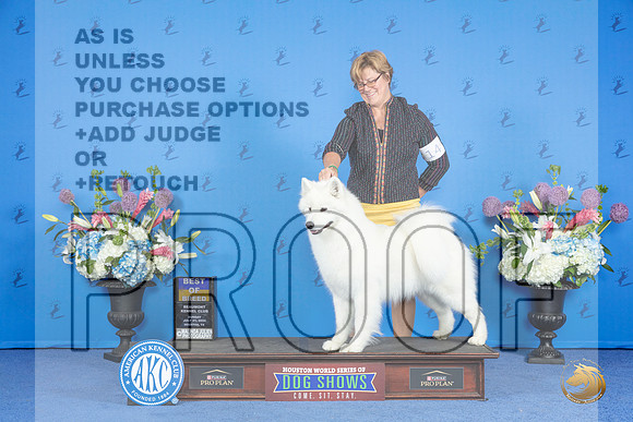 Samoyed #14 SUN BOB Judge Ronald Freeman__JP_0608_Houston_2024_HR3