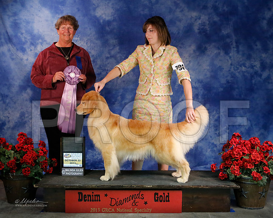 GunDog-9026-WFOct2013-HR