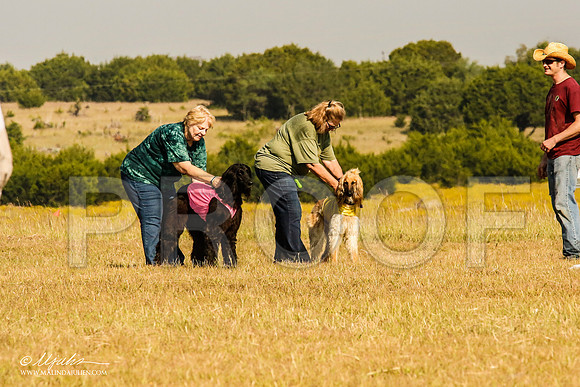 _MJ_4334-AfgBeltonOct2014-HR3