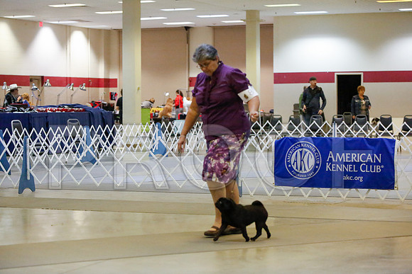 _JJ_1479-AmarilloSept2014-HR3