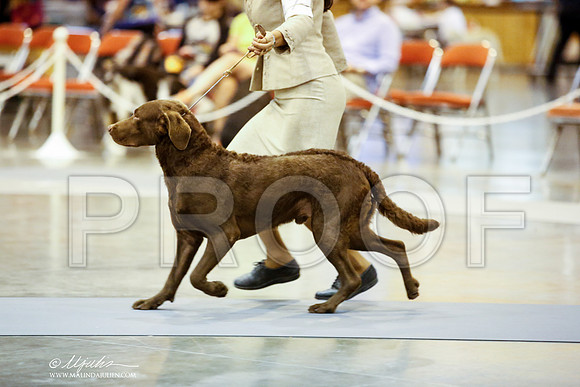 _JN_3908-HstnJul2014-HR3