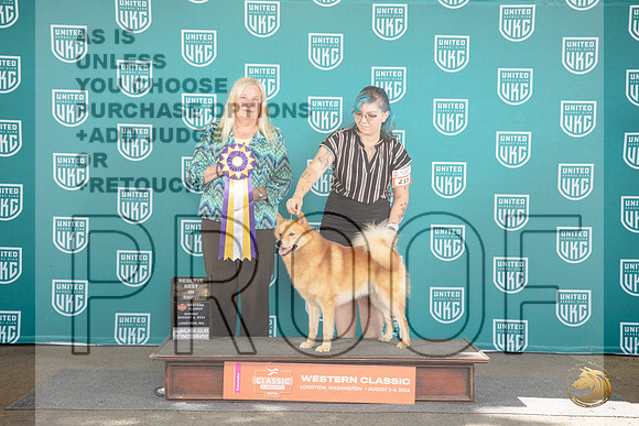 Finish Spitz #218 Sat RBIS Judge Katherine Short__JP_2012_Longview WA_2024_HR3