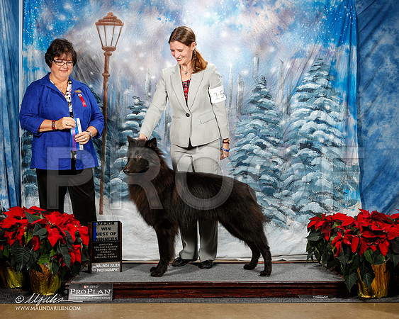 _ST_8315-2-DallasDec2014-HR3