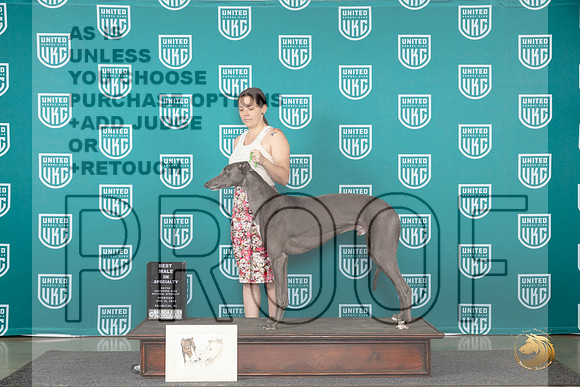 Greyhound #105 Wed BM Judge Jennifer Landers__JP_0301_Premier_2024_HR3