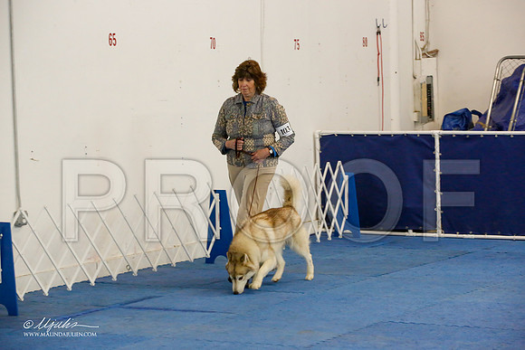 _M3_7546-AddisonHuskyMar2015-HR3