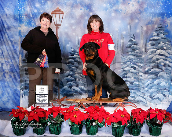 rott-6550-MrshlDec13-HR