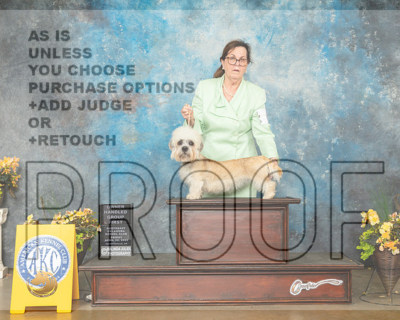 Dandie Dinmont Terrier #6 Fri OHG1 Judge Carol Jean Nelson-MMJ_9852-NWARK2022-HR3