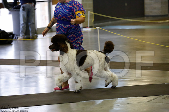 _J3L2549-BeltSep2014-HR