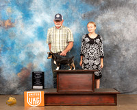 Teddy Roosevelt Terrier #295 PRBIS Sun2 Judge Katherine Short