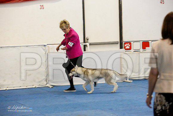 _M3_0607-AddisonHuskyMar2015-HR3