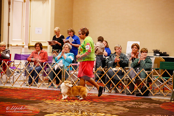 _JJ_8857-HstnCorgiFeb2015-HR3