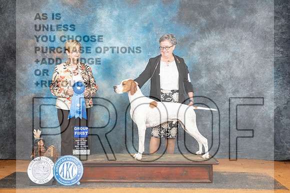 Pointer #? Sun G1 Judge Karen Hynek__JP_8858_MARSHALL_2024_HR3