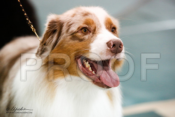 _JN_0002-ASCACollegeStationNov2014-HR3