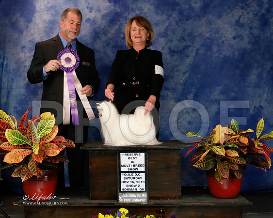 _J2_8983-NormNov2013-HR