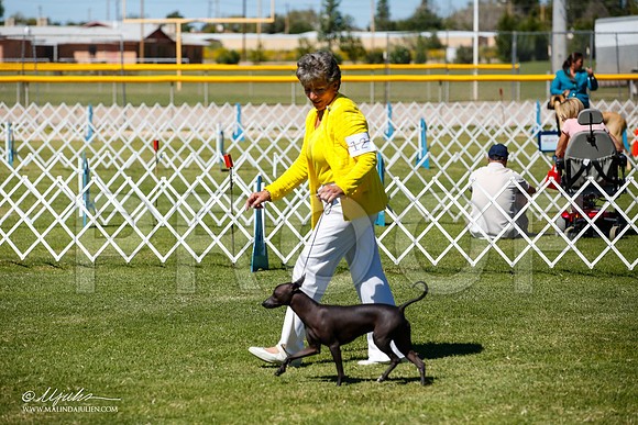 _JJ_8404-AlamogordoOct2014-HR3