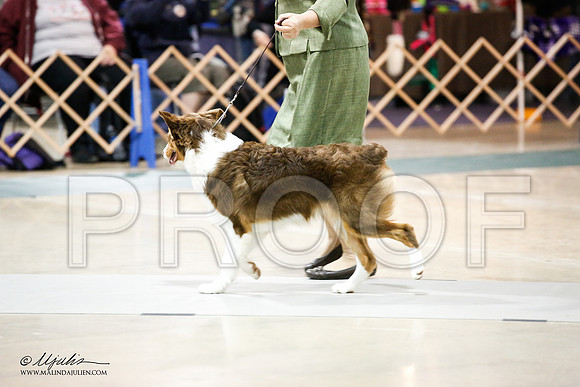 _JJ_0775-ASCACollegeStationNov2014-HR3