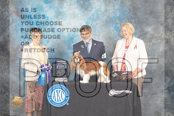 Cavalier King Charles Spaniel #6 Fri RWB Judge Donna Buxton_MJ_9687_HstnTOY_2022_HR3