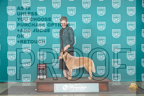 Australian Cattle Dog #112 Sat G2 Judge Rick Gann__JP_2532_Premier_2024_HR3
