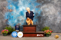 Pomeranian #25 Fri WD Judge George Milutinovich