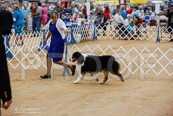 _JN_3516-TxArJun2014-HR3