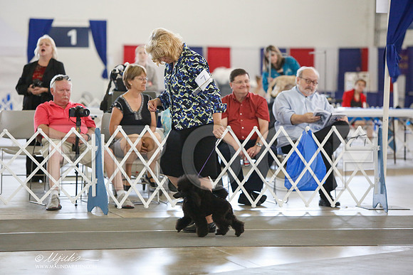 _JJ_3259-DallasJul2014-HR3