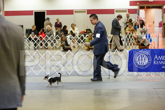 _JJ_2612-AmarilloSept2014-HR3
