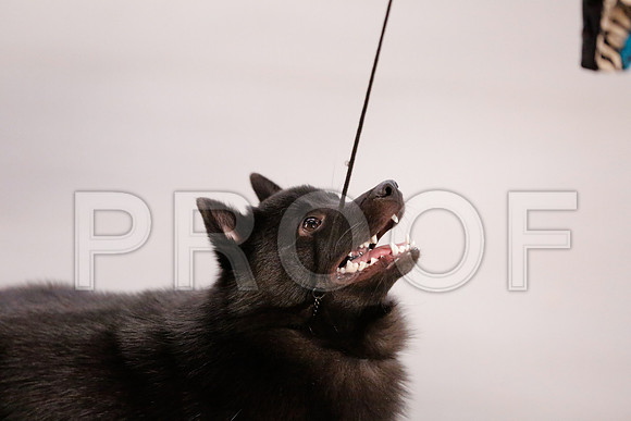 _RH_7719-CarlrolltonSept2014-HR3