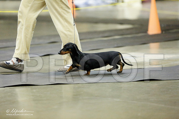_RH_1358-BeltonJan2015IABCA-HR3