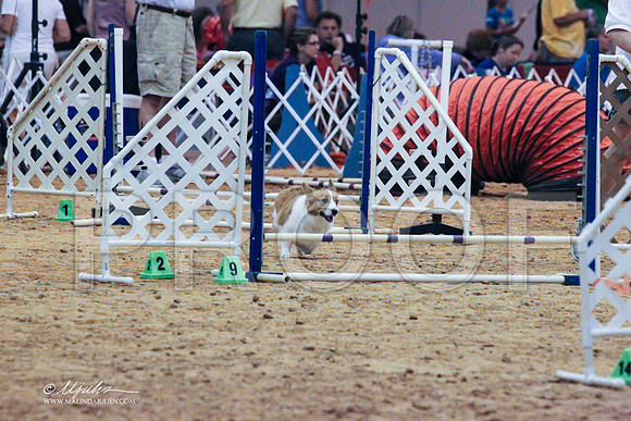 CorgPW-7910 PROOF