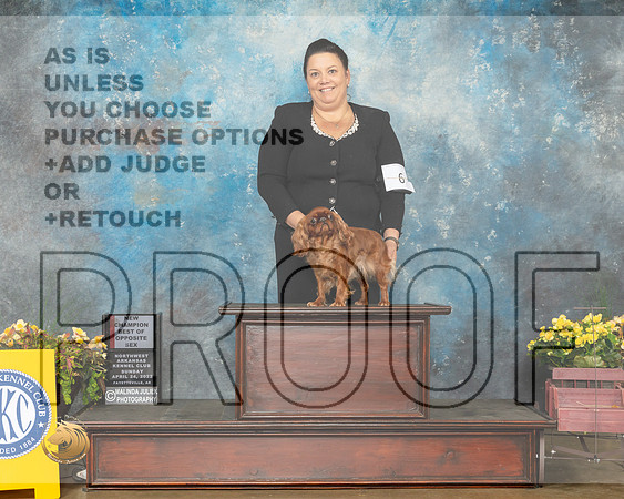 English Toy #6 Sun BOSNCh Judge John Ramirez-MMJ_1435-NWARK2022-HR3