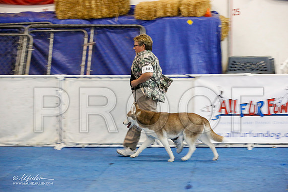 _M3_7461-AddisonHuskyMar2015-HR3
