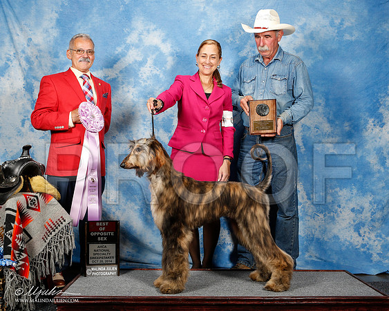 _ST_4492-2-AfgBeltonOct2014-HR3
