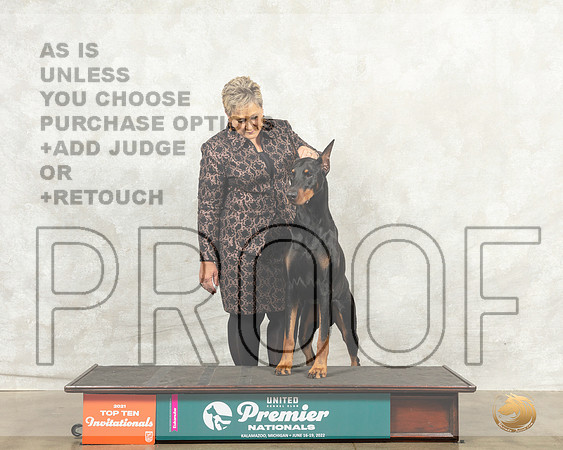 Doberman Pinscher #875 Thurs__MJ_7251_Premier_2022_HR3