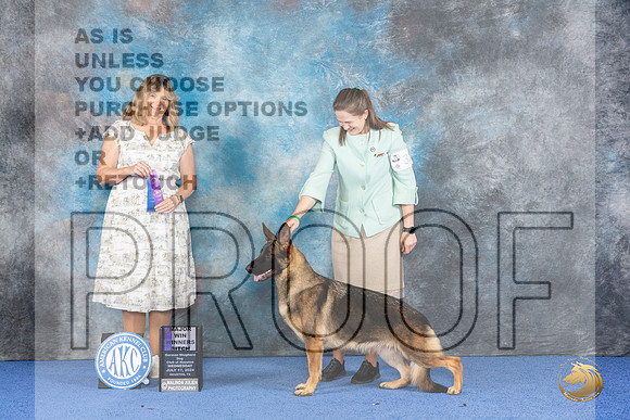 German Shepherd Dog #30 WED WBM Judge Danelle Brown__JP_6985_Houston_2024_HR3