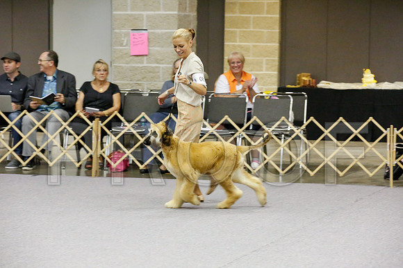 _JJ_9230-AfgBeltonOct2014-HR3