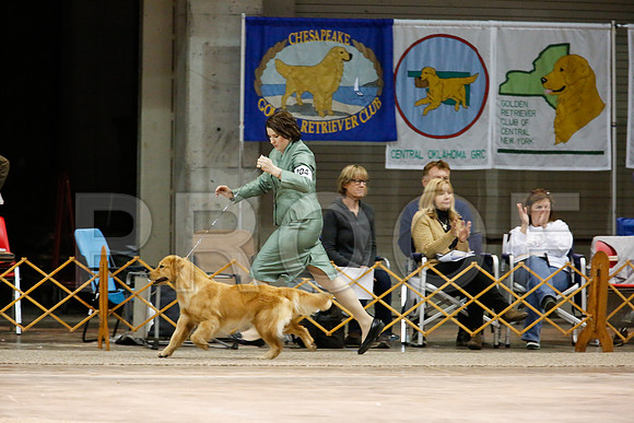 BestVet-7188-WFOct2013-HR