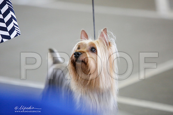 _JJ_3228-DallasJul2014-HR3