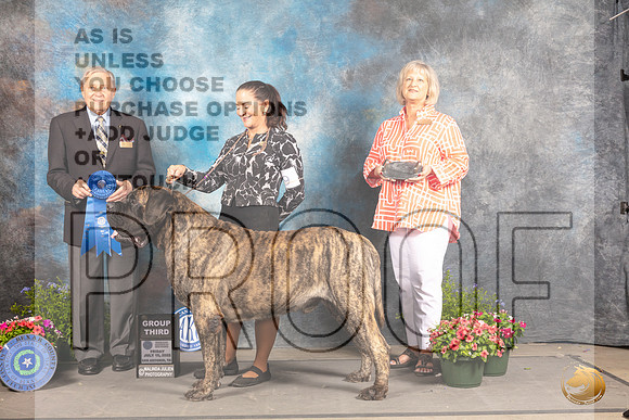 Mastiff #9 Fri G1 Judge David Bolus_MJ_0117_SA_2022_HR3