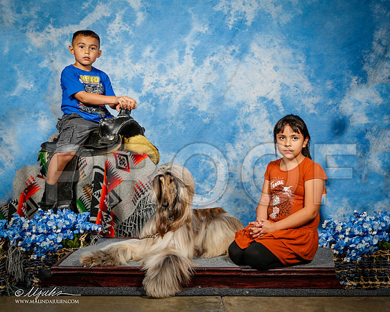 _ST_4635-2e-AfgBeltonOct2014-HR3